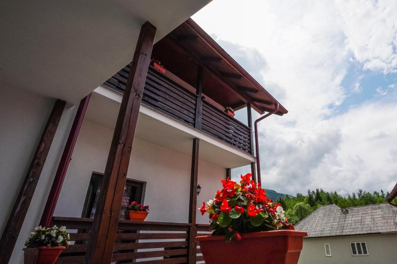Pensiunea Trei Lalele Moisei Ngoại thất bức ảnh